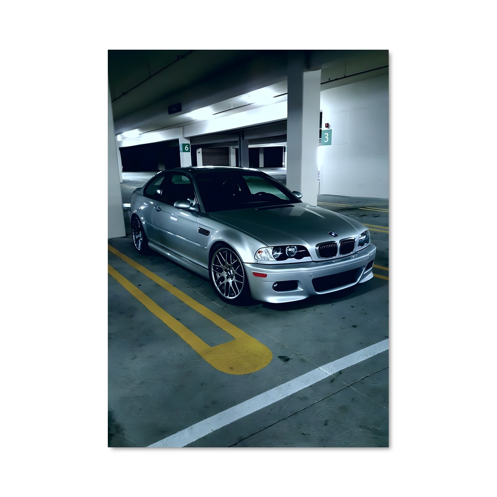 Poster Parking Paradise
